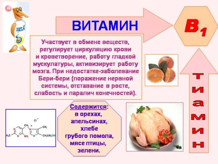 Доклад по теме Тиамин (витамин В1)